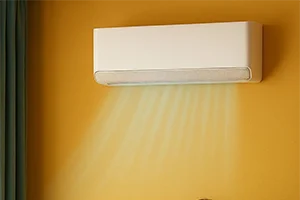 Cevizli Klima Servisi